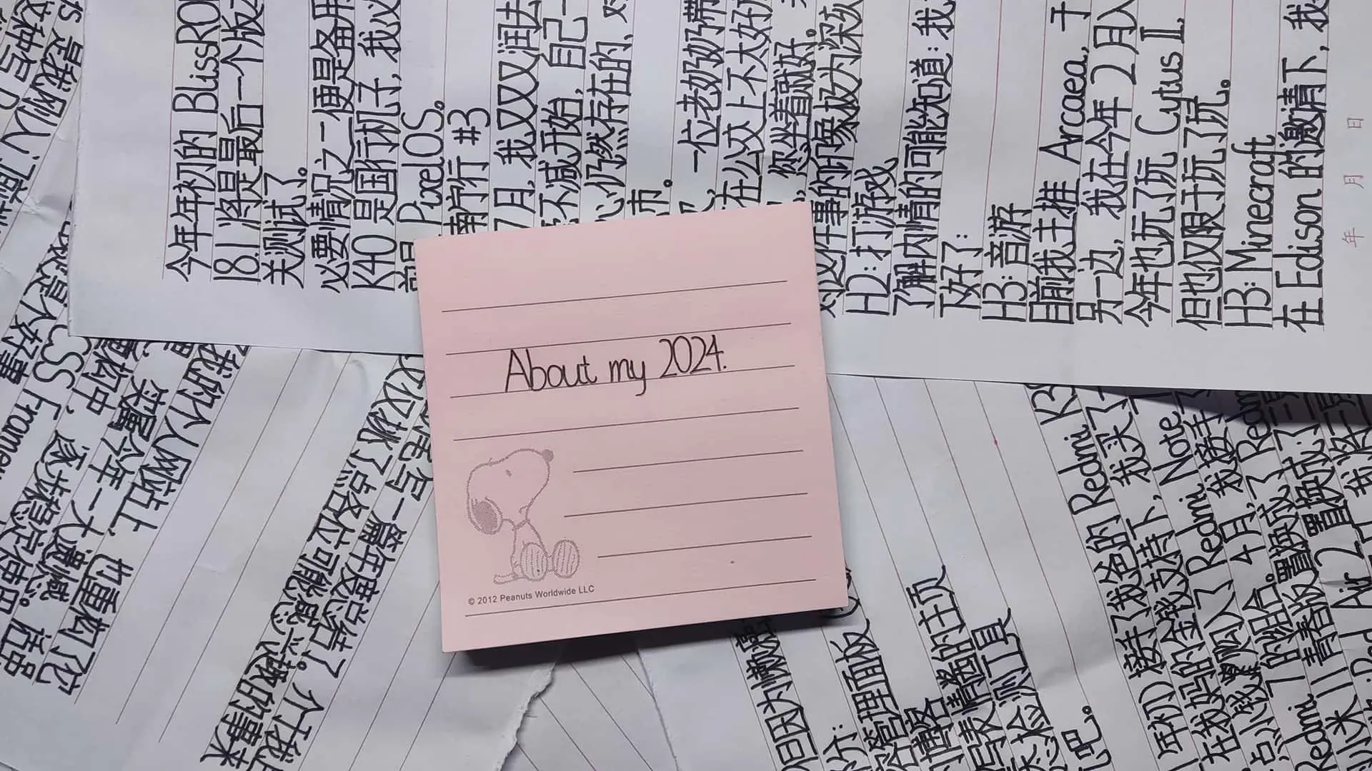 我的 2024 年度总结